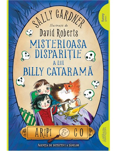 Aripi si co. 3: Misterioasa disparitie a lui Billy Catarama - Sally Gardner | Editura Arthur