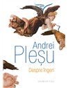 Despre îngeri - Andrei Pleșu | Editura Humanitas