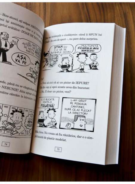 Marele Nate. 6. Nate e pe val - Lincoln Peirce | Editura Arthur
