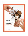 Atlas de dermatologie veterinara la caine si pisica - Gustavo Machicote Goth | Editura Callisto