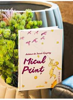 Micul print  - Antoine De Saint-Exupéry | Arthur 2