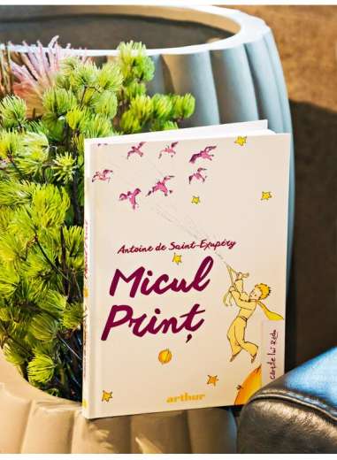 Micul print  - Antoine De Saint-Exupéry | Arthur