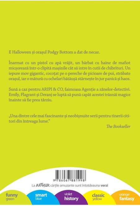 Aripi si co. 4: Misterul cutiilor de chibrituri - Sally Gardner | Editura Arthur