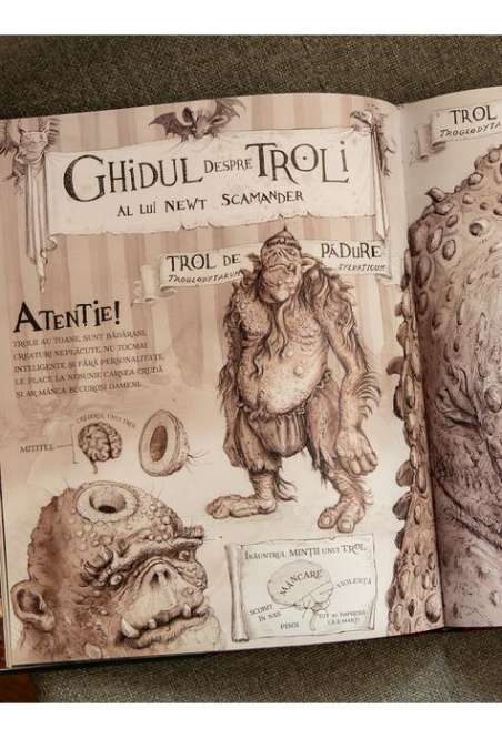 Harry Potter si piatra filozofala - editie ilustrata, text integral - J.K. Rowling | Editura Arthur