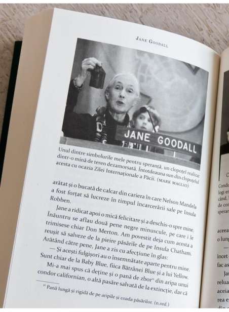 Cartea speranței - Jane Goodall, Douglas Abrams, Gail Hudson | Art (Sapiens)
