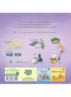 Apolodor educator: Contrarii | Editura Arthur [cartonat] 2