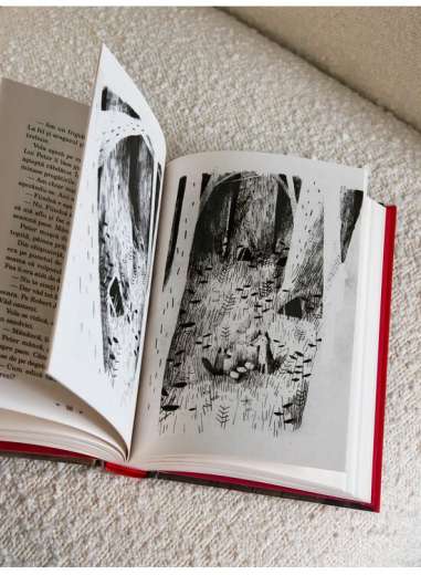 Pax - Sara Pennypacker | Editura Arthur (Red...