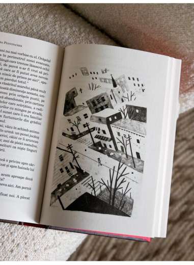 Pax - Sara Pennypacker | Editura Arthur (Red...