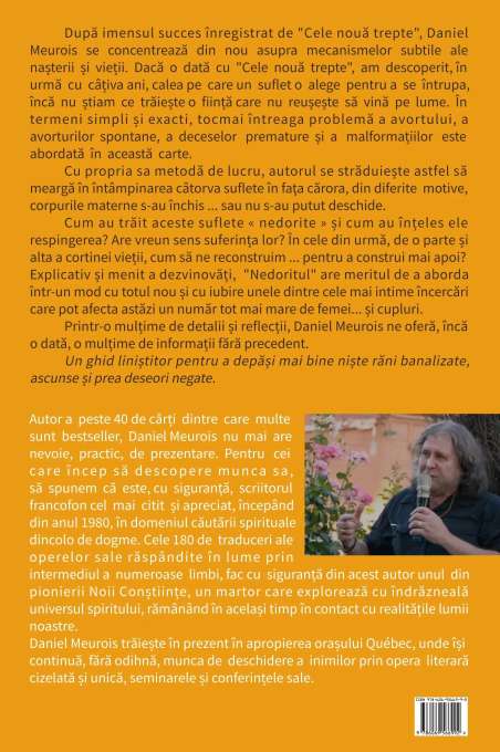 Nedoritul. Întâlnire cu copilul care nu a putut să vină - Daniel Meurois | Solisis