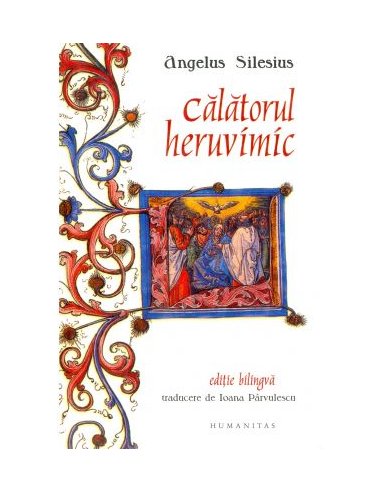 Studii sociale. Manual pentru clasa a XII-a - Dorina Chiritescu | Editura Humanitas