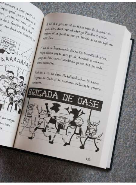 Jurnalul unui pusti 17: Skutek Megaplyn - Jeff Kinney | Editura Arthur [cartonata]