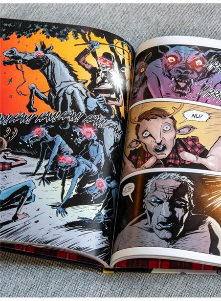 Sweet Tooth Vol 1 Iesirea din adancul padurii - Jeff Lemire | Editura Art [cartonata]