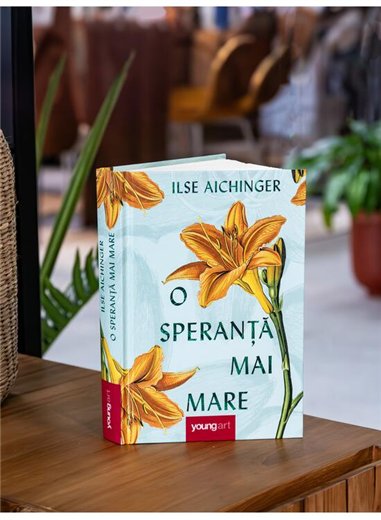 O speranta mai mare - Ilse Aichinger | Young Art [cartonata]
