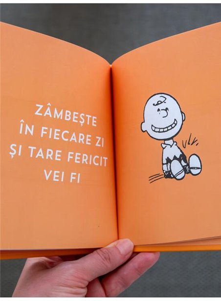 PEANUTS. Ghiduri pentru viata. Ghidul Peanuts pentru fericire - Charles M. Schulz | Grafic [cartonata]