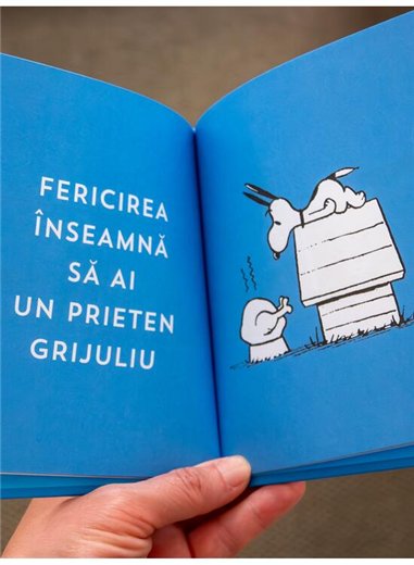 PEANUTS. Ghiduri pentru viata. Ghidul Peanuts pentru prietenie - Charles M. Schulz | Grafic [cartonata]