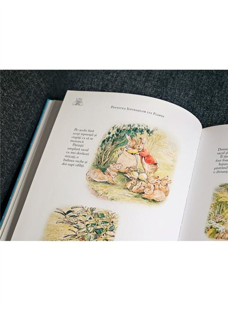 Aventurile lui Peter Iepurasul - Beatrix Potter | Arthur [cartonata]