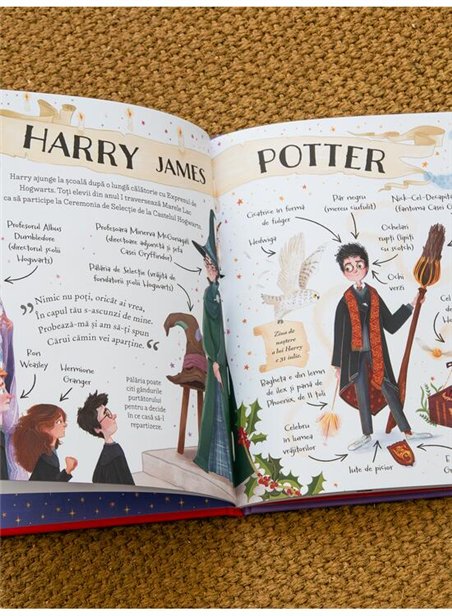 Pocket Potters 1. Ghiduri pentru Seria Harry Potter - J.K.Rowling | Arthur [cartonata]