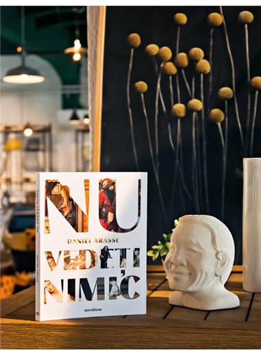 Nu vedeti nimic - Daniel Arasse | Editura Art [necartonata]