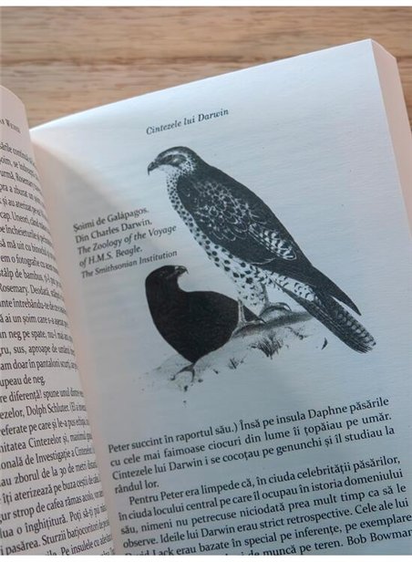 Cintezele lui Darwin - Jonathan Weiner | Editura Art [necartonata]