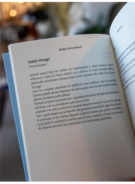 Nopti in zen - Balazs Imre Jozsef | Cartea Romaneasca [necartonata]