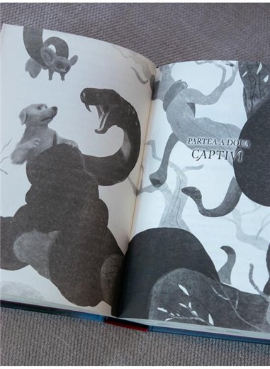 Endling Vol 1. Cea de pe urma - Katherine Applegate | Arthur [cartonata]