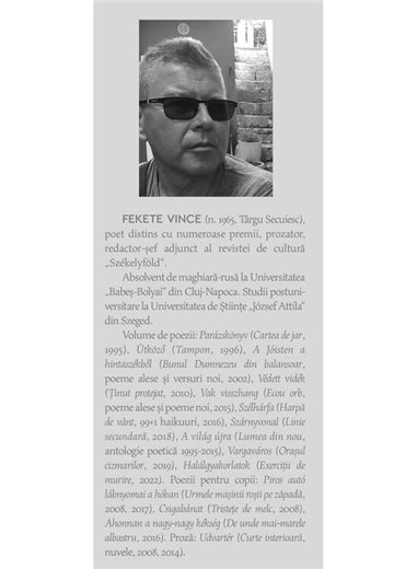 Orasul cizmarilor - Fekete Vince | Cartea Romaneasca [necartonata]