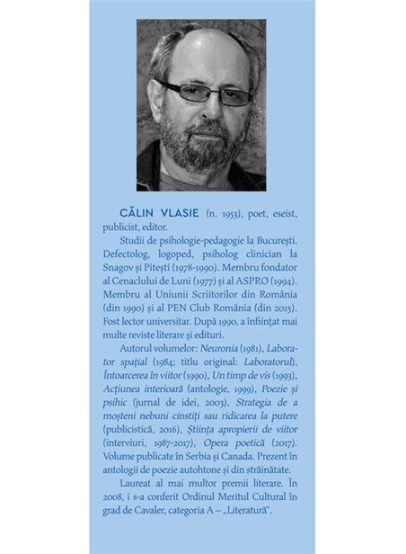 Micile intamplari - Calin Vlasie | Cartea Romaneasca [necartonata]