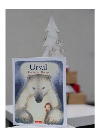 Ursul - Raymond Briggs | Grafic [cartonata]
