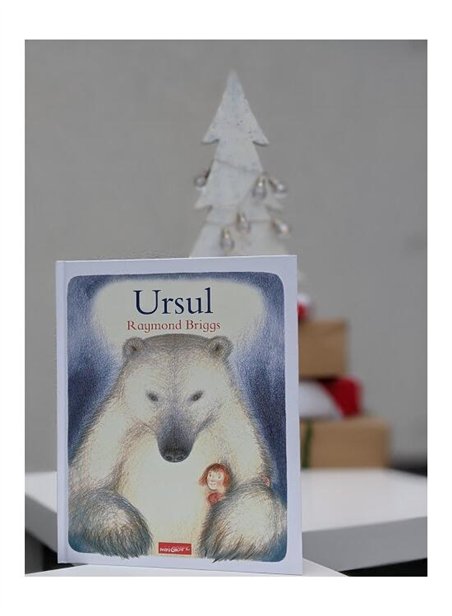 Ursul - Raymond Briggs | Grafic [cartonata]