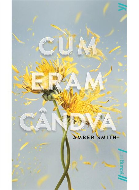 Cum eram candva - Amber Smith | Young Art [necartonata]