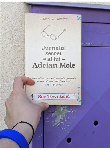 Jurnalul secret al lui Adrian Mole - Sue Townsend | Young Art [necartonata]