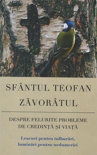 Despre felurite probleme de credinta si viata. Leacuri pentru tulburari, luminari pentru nedumeriri | Editura Sophia