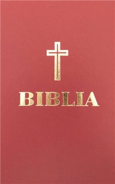 Biblia cu scris mare - format A4 | Editura Institutul Biblic