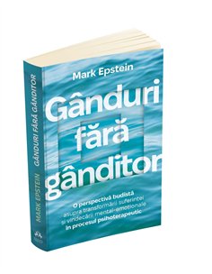 Ganduri fara ganditor - O perspectiva budista asupra transformarii suferintei si vindecarii mental-emotionale in procesul psihot