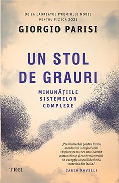 Un stol de grauri. Minunatiile sistemelor complexe - Giorgio Parisi | Editura Trei
