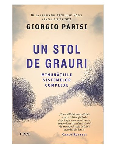 Un stol de grauri. Minunatiile sistemelor complexe - Giorgio Parisi | Editura Trei