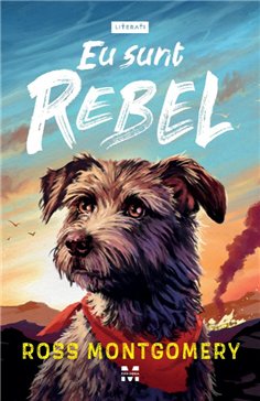 Eu sunt Rebel - Ross Montgomery | Editura Pandora M