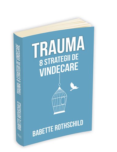 Trauma: 8 strategii de vindecare - Babette Rothschild | Editura Herald