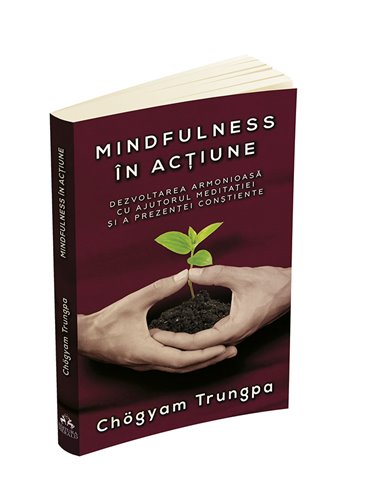 Mindfulness in actiune - Chogyam Trungpa | Editura Herald